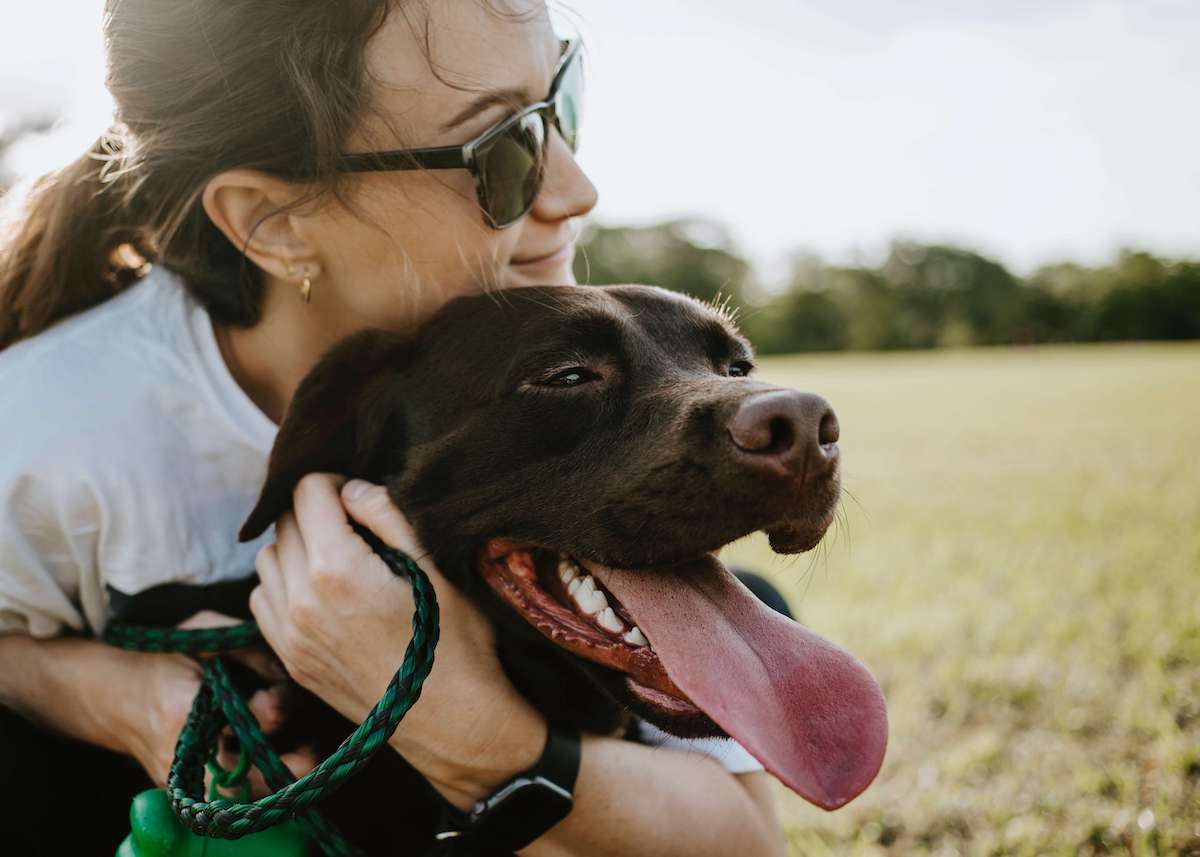 Embrace Pet Insurance Military Discount